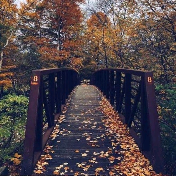 Meet your Posher, Terry&susan - Picture 1 of 1